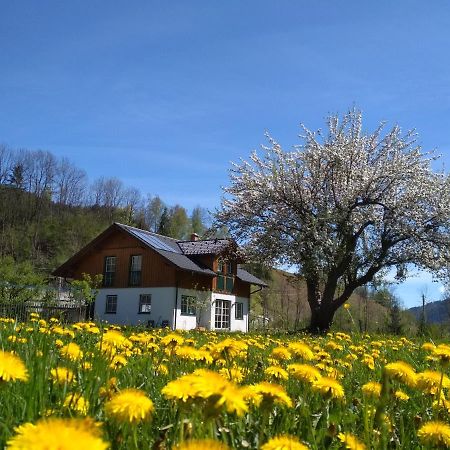 Gaestehaus Blonbauer Apartment Schladming Exterior photo